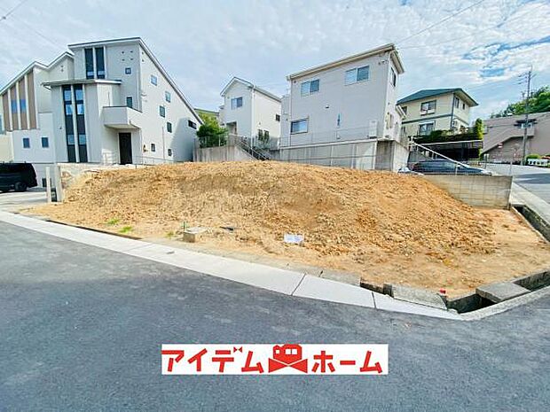 全体(2026年5月)撮影