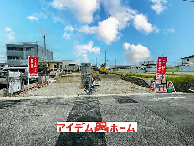 全体（2026年6月）撮影