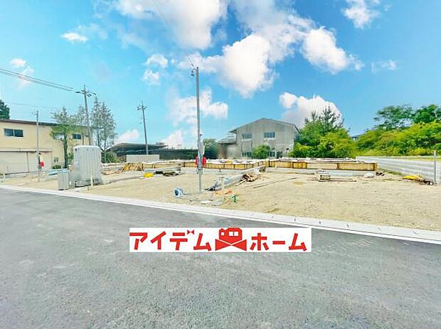 全体(2026年6月)撮影