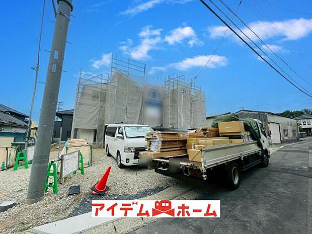 全体（2026年6月）撮影