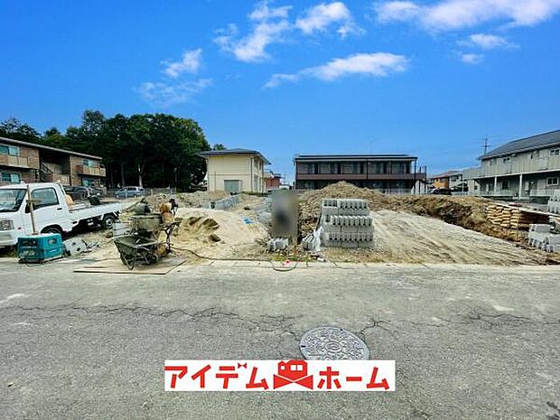全体（2026年6月）撮影