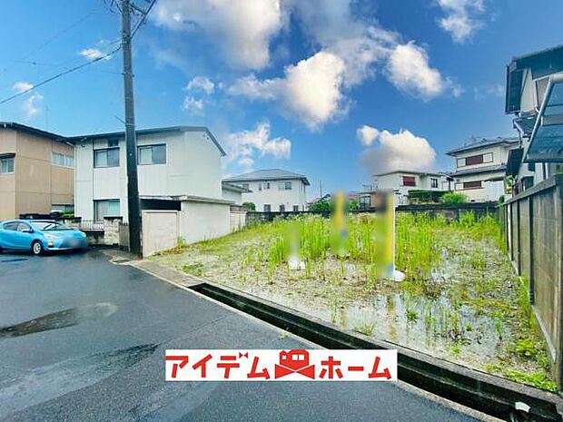 全体（2026年6月）撮影