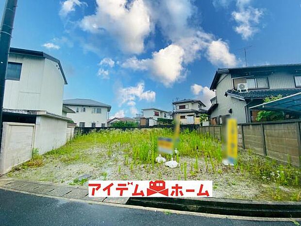 全体(2026年6月)撮影