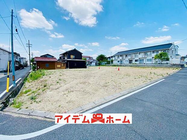 全体（2026年5月）撮影