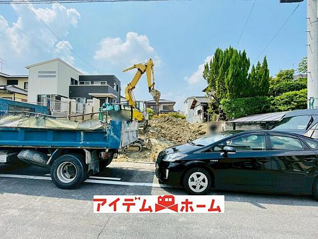 全体（2026年6月）撮影