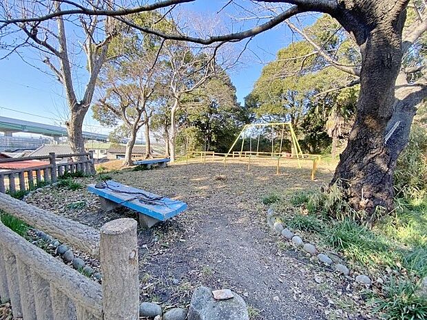姥神公園(420m)