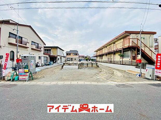 全体(2026年6月)撮影