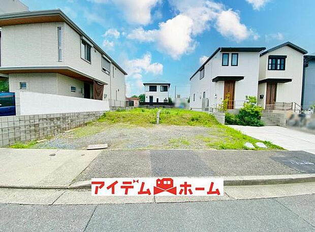 全体(2026年7月)撮影