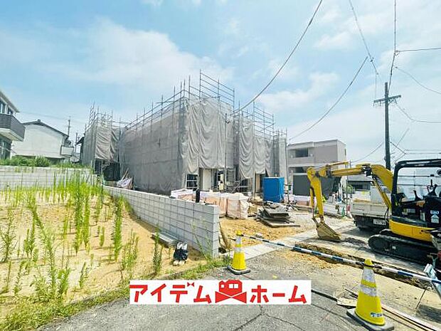 全体(2026年8月)撮影