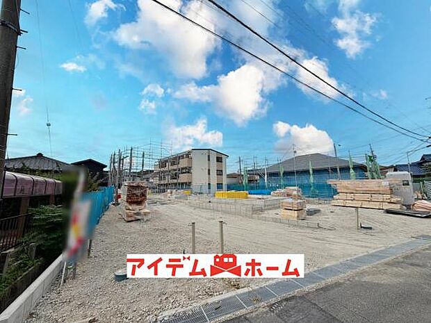 全体（2026年9月）撮影