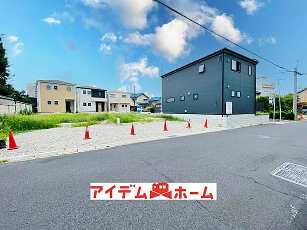 全体（2026年8月）撮影