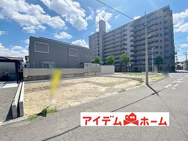 全体(2026年8月)撮影