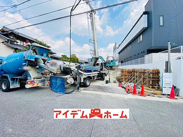 全体（2026年8月）撮影