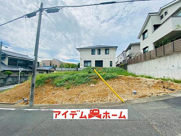 全体(2026年8月)撮影