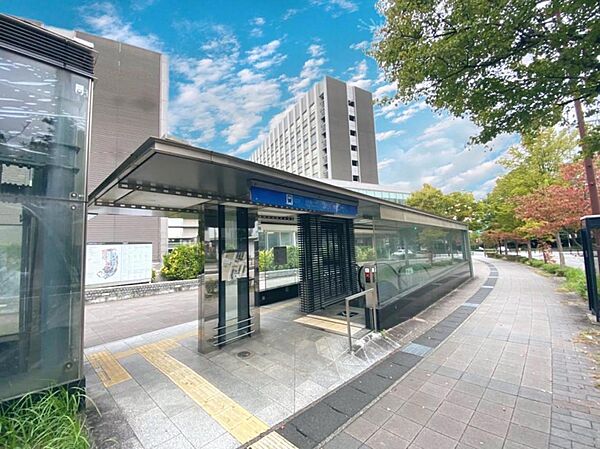 周辺を拡大表示