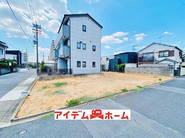全体(2026年8月)撮影