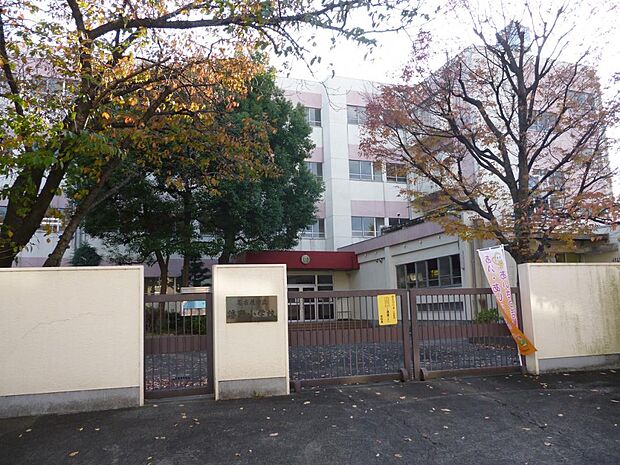 名古屋市立浮野小学校（50m）