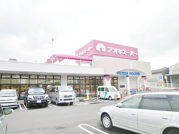 アオキスーパー 八田店(800m)
