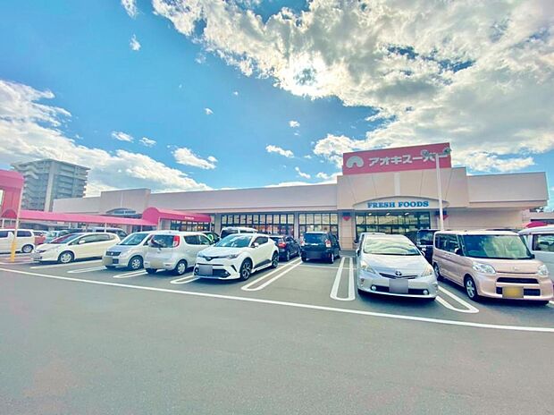 アオキスーパー 三条店(460m)