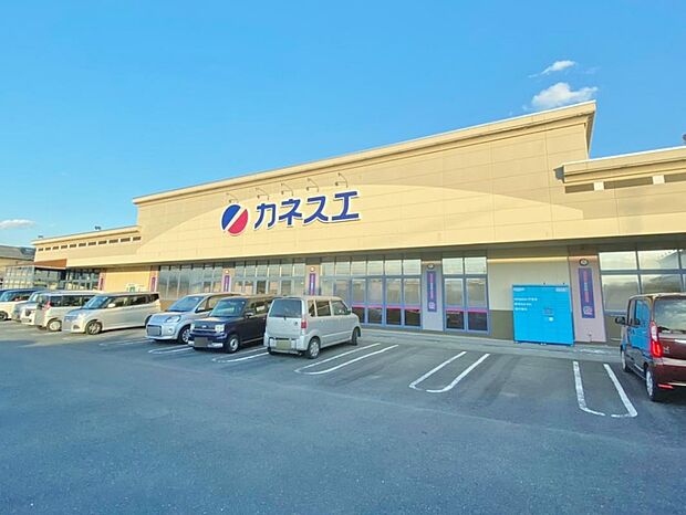 カネスエ竹鼻店(990m)
