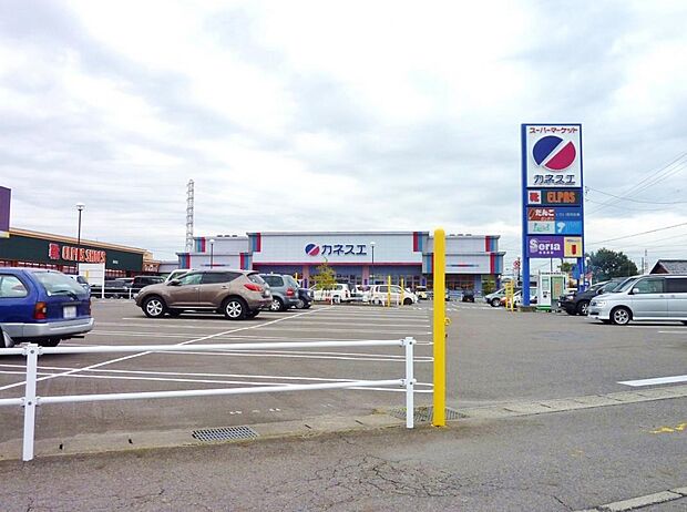 カネスエ 瀬部店(1140m)
