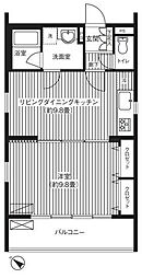 シエールグラン上池台 1階1LDKの間取り