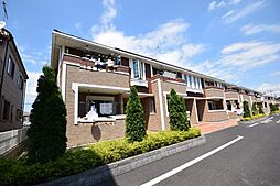 ネオエレガンスC