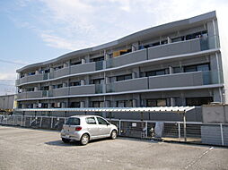 マーベラスコート