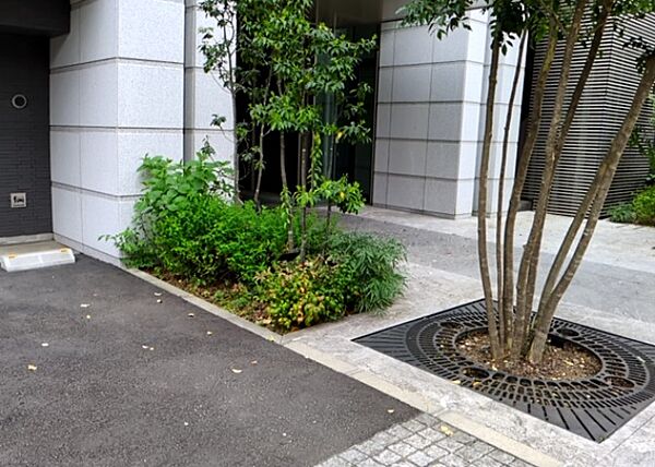 apartment 東京都八王子市旭町
地図を見る