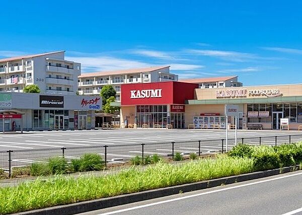 カスミフードスクエア西の原店 徒歩4分。 310m