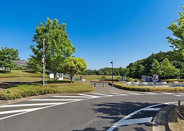 北総花の丘公園 徒歩10分 800m
