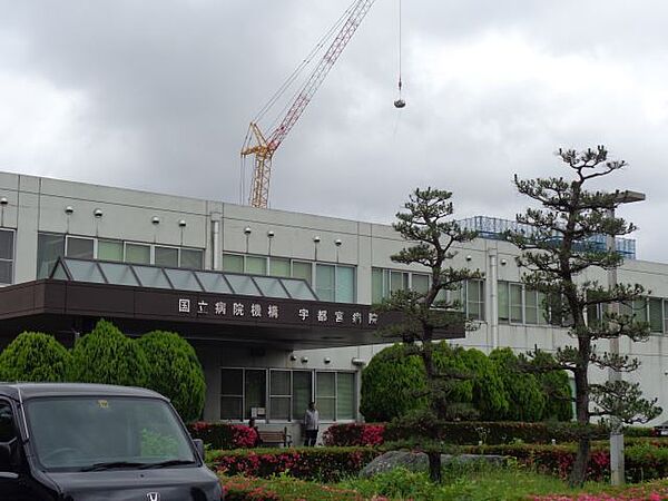 画像20:病院「国立病院機構宇都宮病院まで520m」