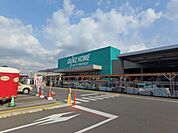 ホームセンター「カインズホームまで990m」