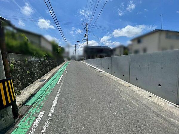 （6月6日撮影写真）