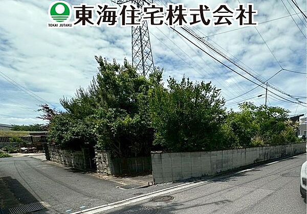 外観：307000084291