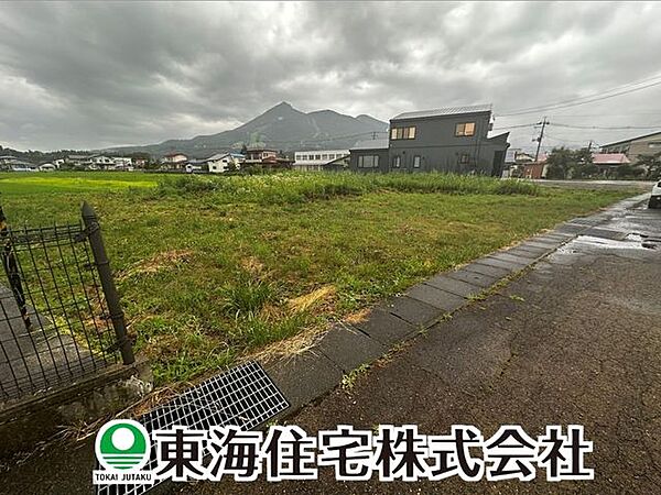 外観：307000084575