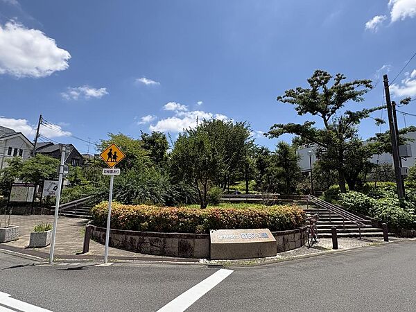 羽根木公園