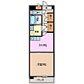 ミカーサ安島6階5.2万円