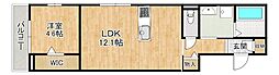 仮称)D-room勝部3丁目 1LDKの間取図画像