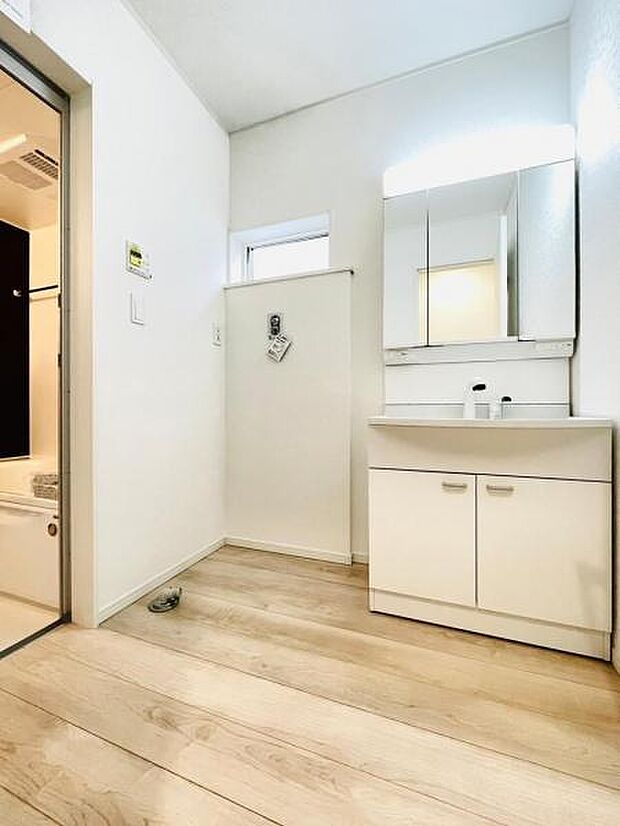 軽くて割れにくい衝撃に強いボウルを採用。水栓部分は引き出してハンドシャワーとしても使えるので便利です。(同仕様)