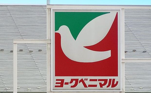 ヨークベニマル相馬店 徒歩13分。 980m