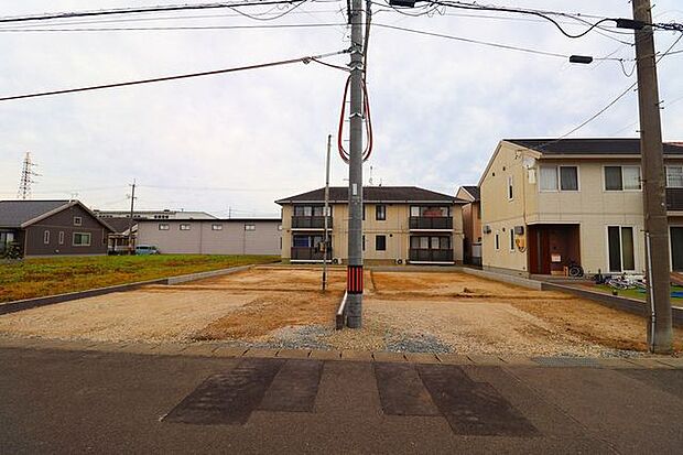 現地写真
