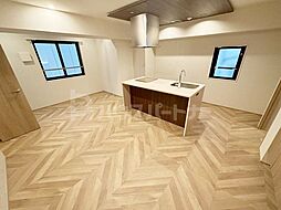 JR総武線 新小岩駅 徒歩4分の賃貸マンション 6階1LDKのリビング/ダイニング