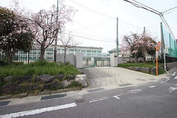 画像15:名古屋市立守山中学校