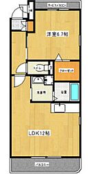 ウィステリア壱番館 1LDKの間取図画像