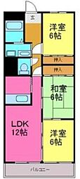 アヴェニュー藤 3LDKの間取図画像