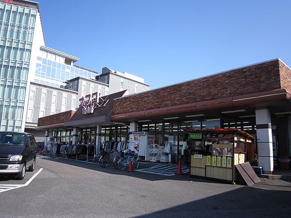 ショーブン千種 ｜愛知県名古屋市千種区日岡町１丁目(賃貸マンション1K・3階・29.71㎡)の写真 その25