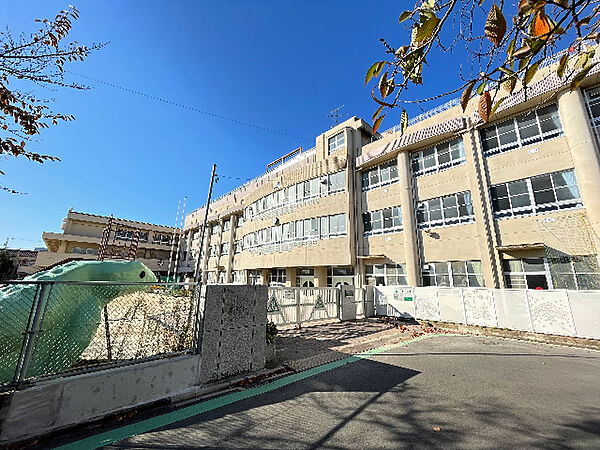 画像24:小学校「名古屋市立柳小学校まで918m」