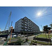  6階 築36年4ヶ月の賃貸物件