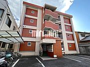 青山ハイツ 1階 築40年9ヶ月の賃貸物件